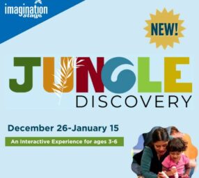 Jungle Discovery