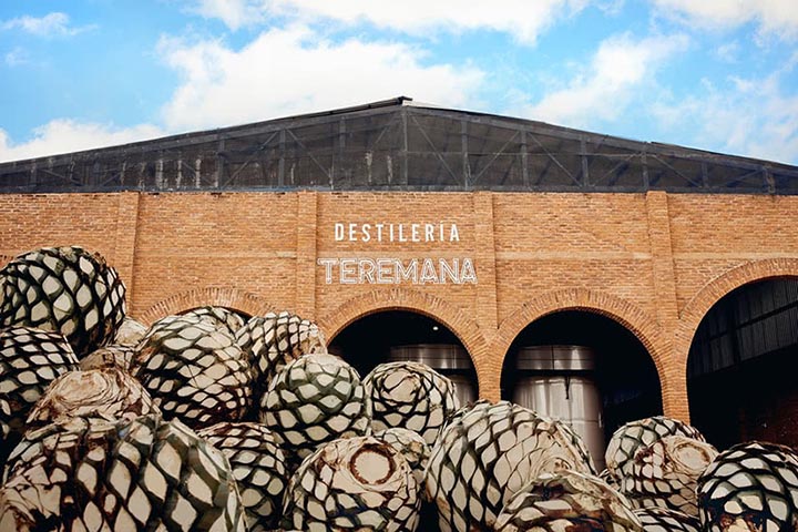 teremana tequila distillery tour mexico - Luxe Digital