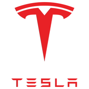 largest car companies tesla logo - Luxe Digital